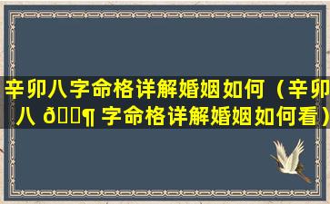 辛卯八字命格详解婚姻如何（辛卯八 🐶 字命格详解婚姻如何看）